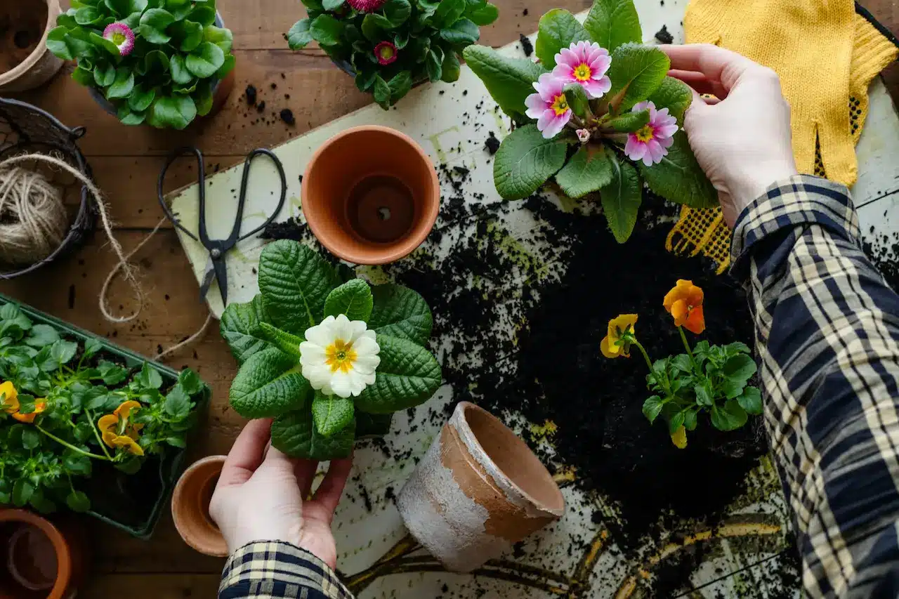 Best Materials to Fill Fake Plant Pots for a Realistic Look