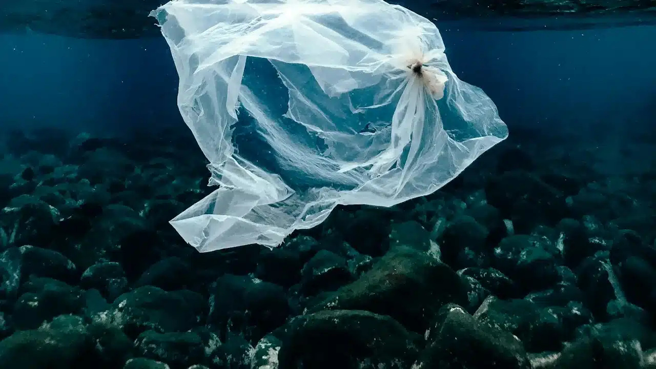 A clear plastic bag drifting underwater above a rocky seabed