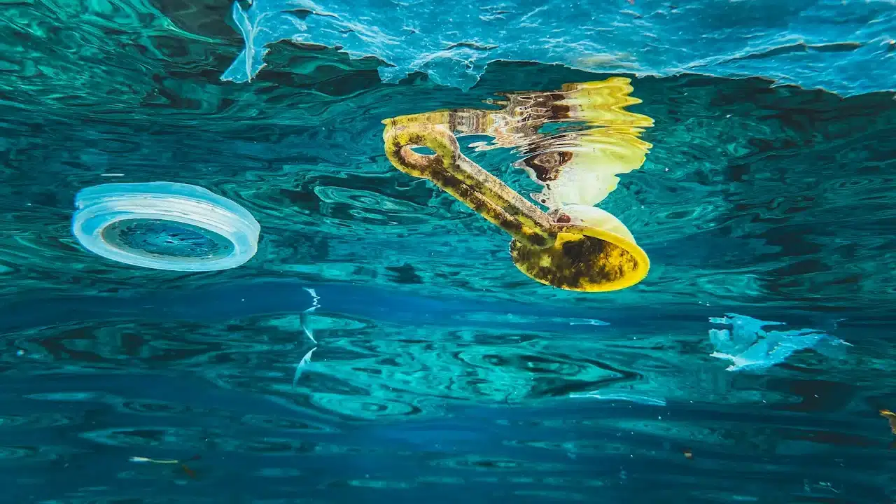 A plastic lid and a yellow plastic fragment floating just below the water surface