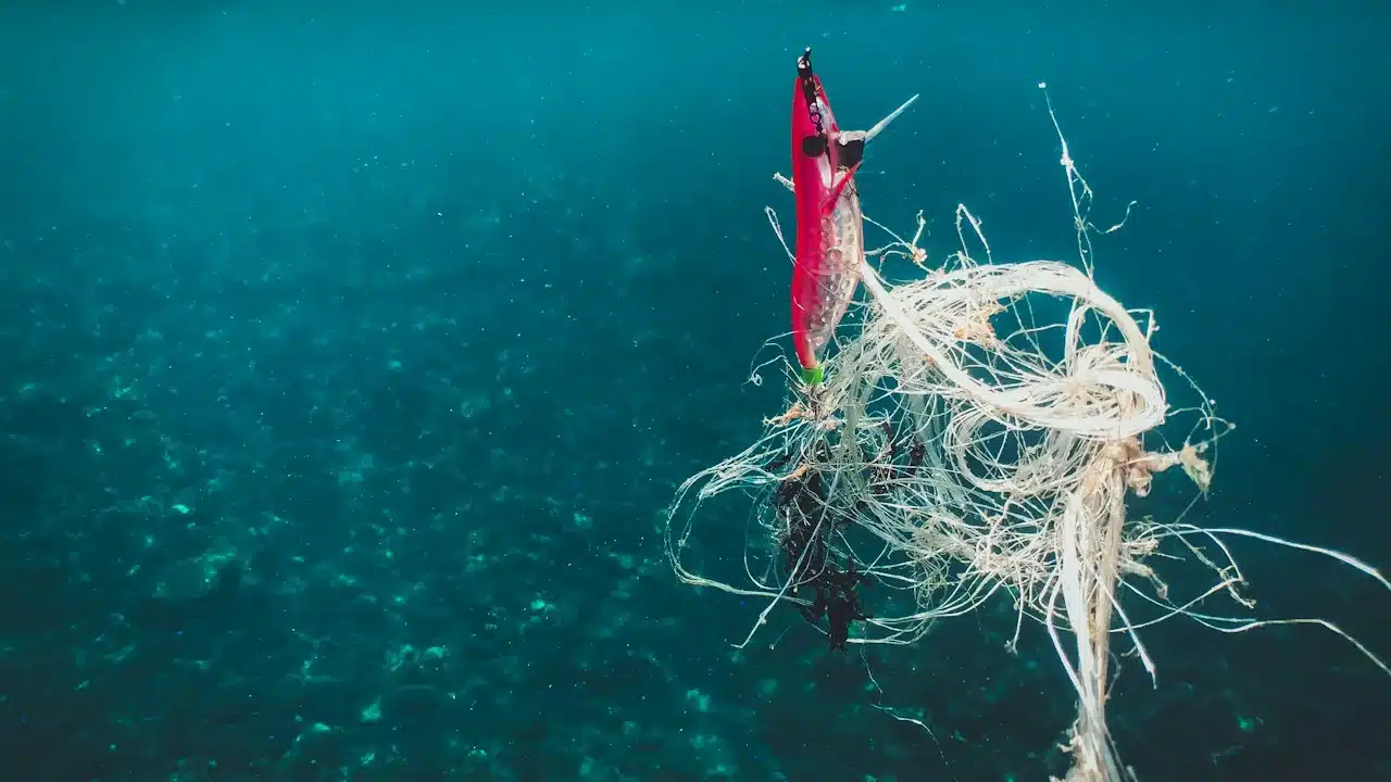 A fishing lure and a tangle of line and fibres drifting underwater